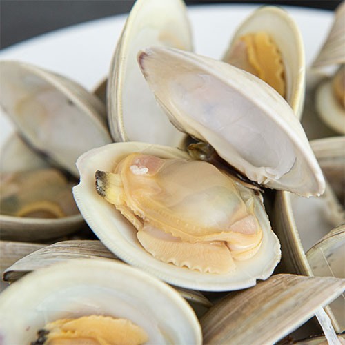 clams2